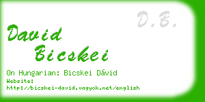 david bicskei business card